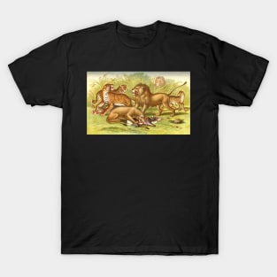 Big Cat types Circa 1874 T-Shirt